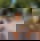 683501808