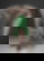 641897312