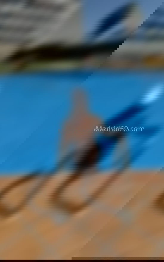 Donatella, trans venezolana divertida. 632145620. Citas en MADRID, MADRID. www.madrid69.com.