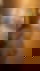 662600884