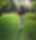 613887150
