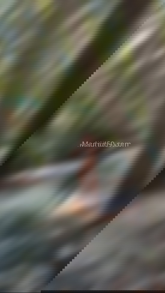 Vanesa, mujer trans divertida. 632018148. Citas en MADRID, MADRID. www.madrid69.com.