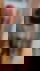 610082745