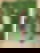 664874220