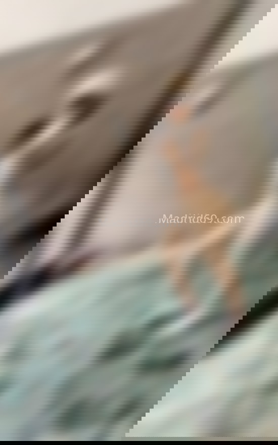 Marilyn, venezolana. 632060315. Citas en MADRID, MADRID. www.madrid69.com.