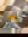 675692340
