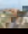 664842039