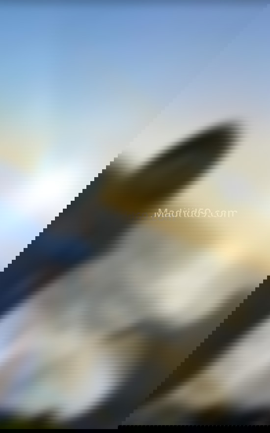 Viviana, jovencita colombiana en Madrid . 607399241. Citas en MADRID, MADRID. www.madrid69.com.