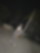 610833469