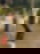 613159306