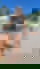 642613640