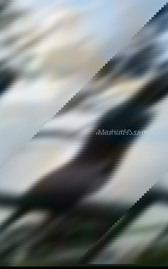 Ainara Cadavid, hermosa trans colombiana. 611279967. Citas en MADRID, MADRID. www.madrid69.com. Ainara Cadavid, hermosa trans colombiana. 611279967. Citas en MADRID, MADRID. www.madrid69.com.