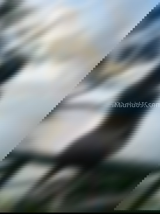 Ainara Cadavid, hermosa trans colombiana. 611279967. Citas en MADRID, MADRID. www.madrid69.com. Ainara Cadavid, hermosa trans colombiana. 611279967. Citas en MADRID, MADRID. www.madrid69.com.