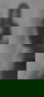 604356566