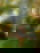 615424046