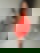 611248557