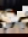 645725414