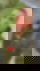 664289793