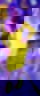 658611525