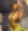 655185042